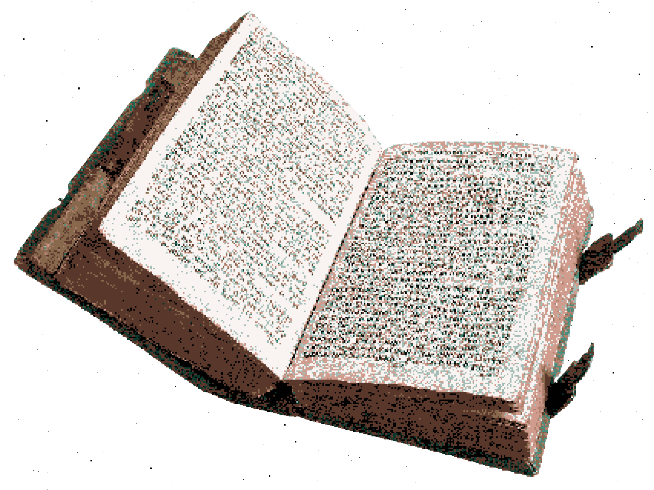 diary (click to read my thoughts)